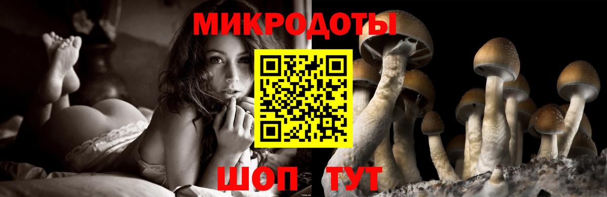 Переславль-Залесский  Галлюциногенные грибы MAGIC MUSHROOMS  Вход с VPN 